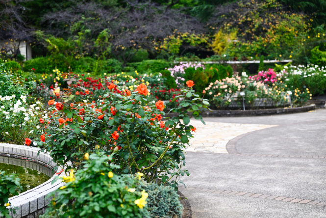 有限会社ビューイット