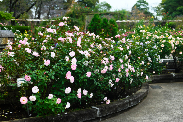 有限会社ビューイット