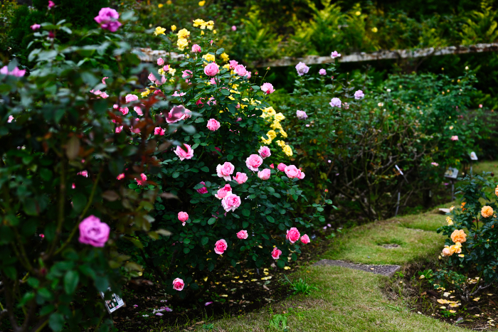 有限会社ビューイット