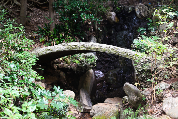 有限会社ビューイット