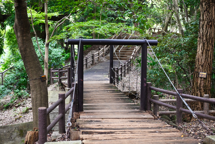 有限会社ビューイット