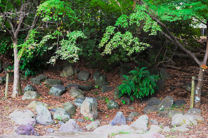 有限会社ビューイット